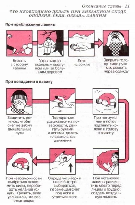 2.4. Проведение защитных работ