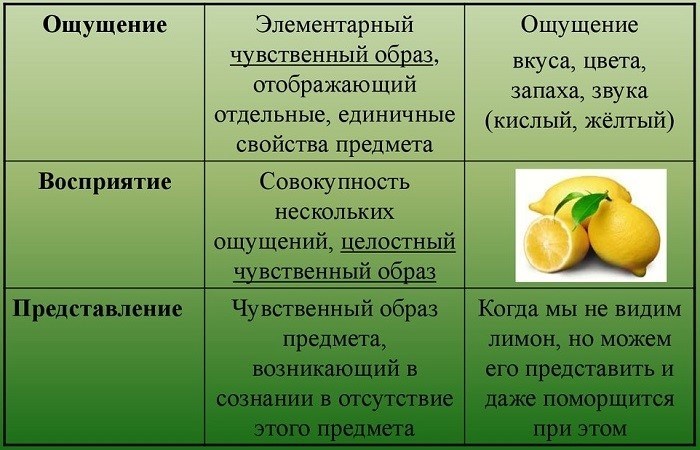 Отличия между чувственным и рациональным познанием