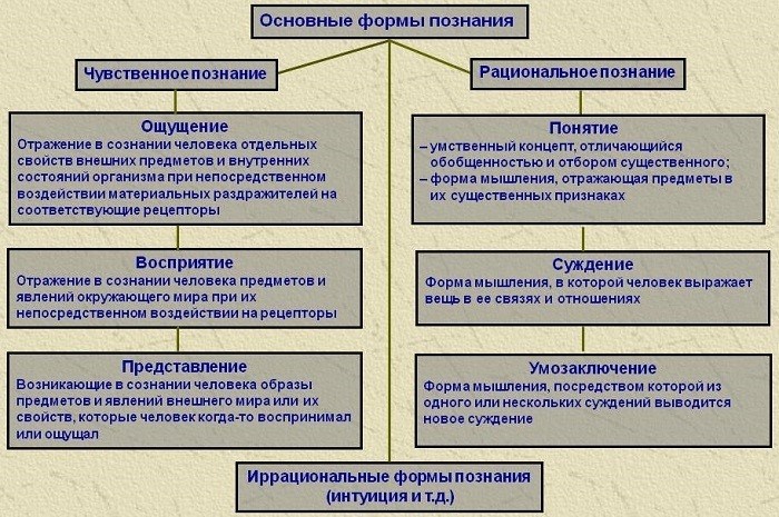 1. Предмет познания