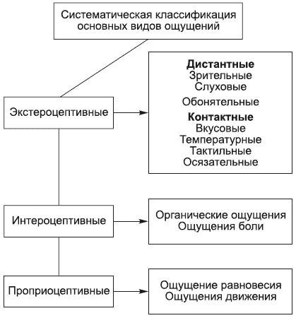 Восприятие часто принято называть...