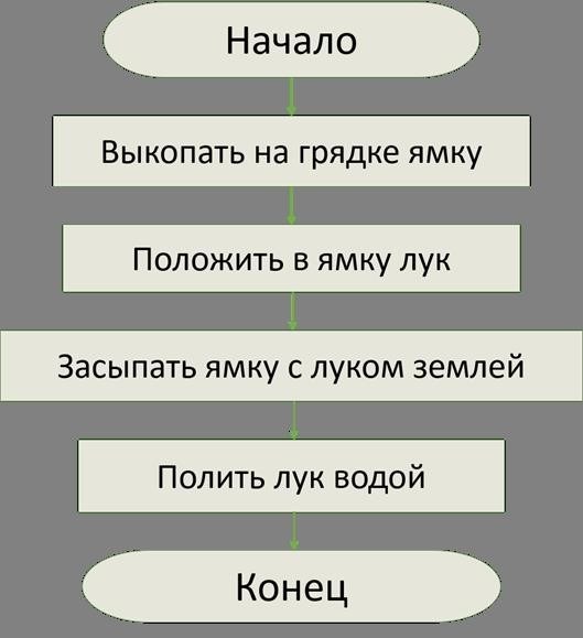 Применение линейных типов алгоритмов в информационных технологиях