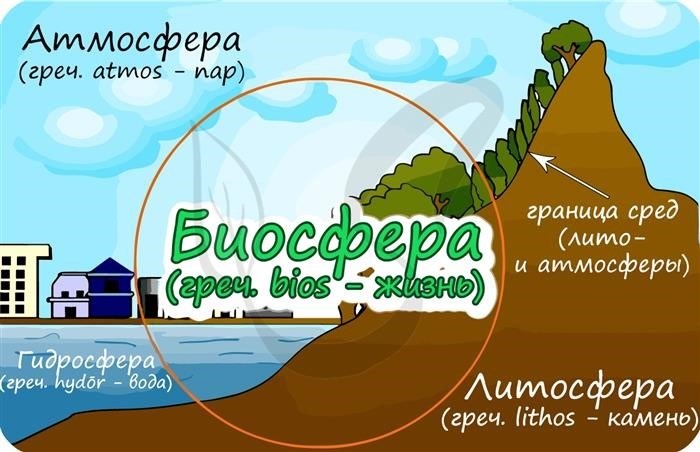 Понятие биосферы и ноосферы