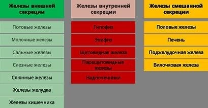 Профилактика и лечение заболеваний эндокринных и экзокринных желез