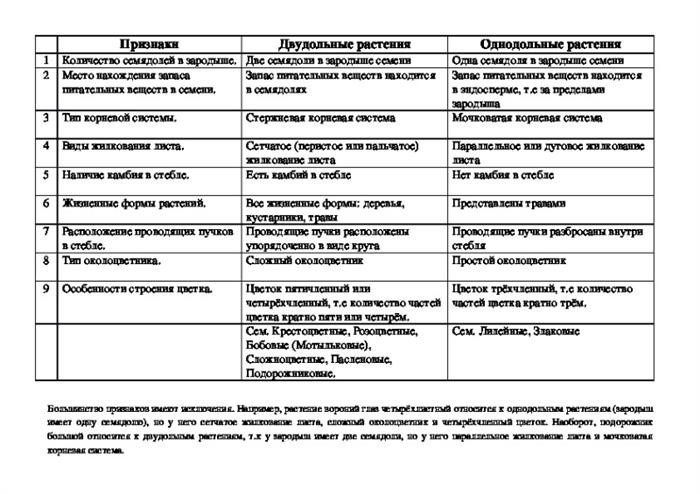 Сравнительная характеристика и примеры однодольных и двудольных растений