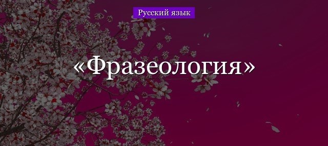 Что такое фразеологизмы и какие основные признаки их отличают