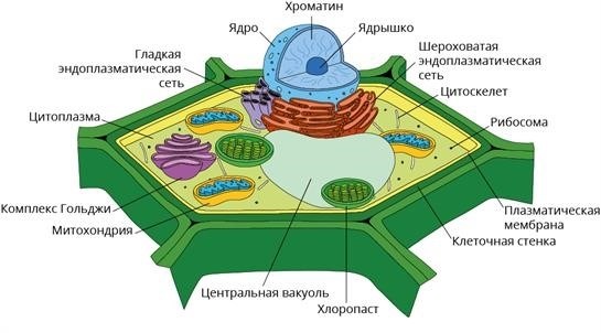 Что мы узнали?