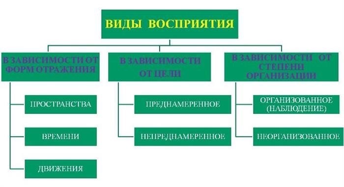 Понятие памяти. Процессы памяти.