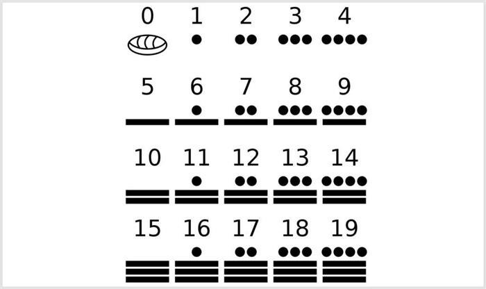 Какие виды чисел изучаются в начальной школе?