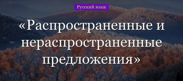 Что такое предложение и грамматическая основа предложения