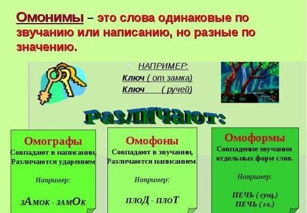 Омонимы в английском языке