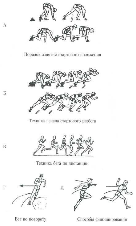 Бег на короткие дистанции схема