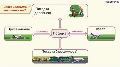 Антонимы, синонимы, омонимы, фразеологизмы