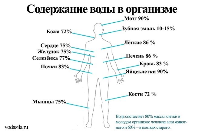 Вода – полярный растворитель