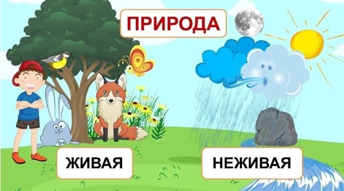 Удивительное сплетение жизни и элементов природы