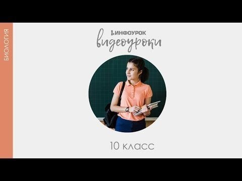 Теория Рудольфа Вирхова о происхождении клеток