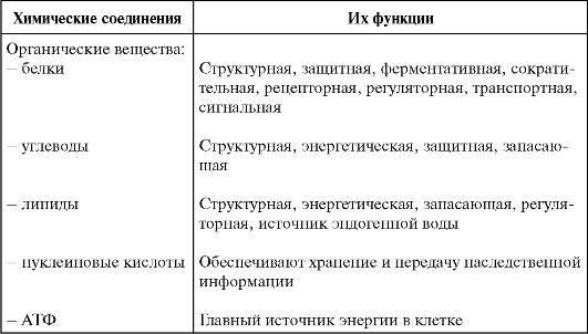 Современная клеточная теория