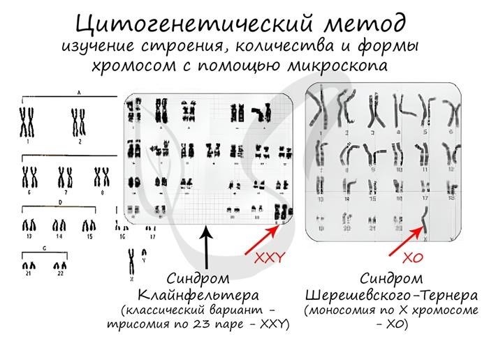 Подписи к слайдам: