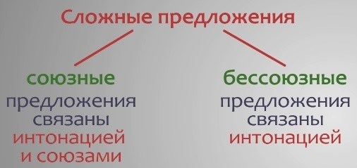 Сложное предложение с союзом 