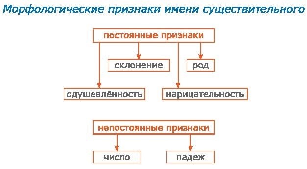 Существительные с неизменяемыми признаками в русском языке