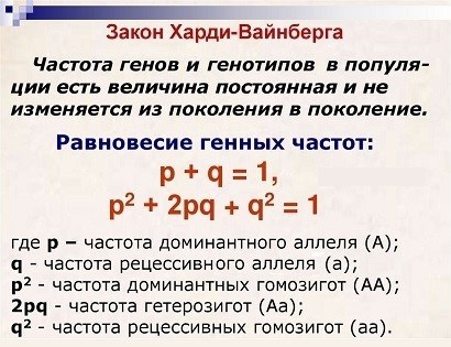 Вопросы, которые необходимо раскрыть в презентациях