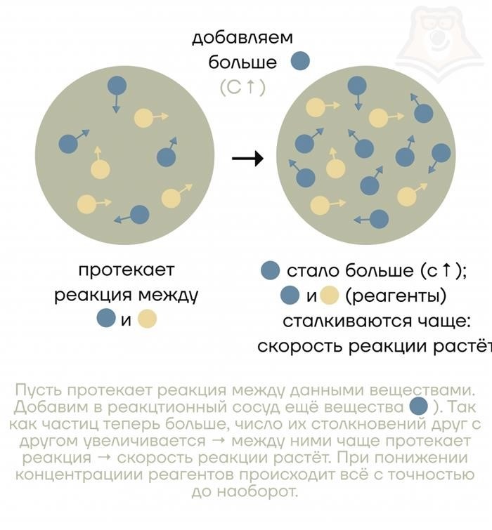 Площадь соприкосновения реагирующих веществ