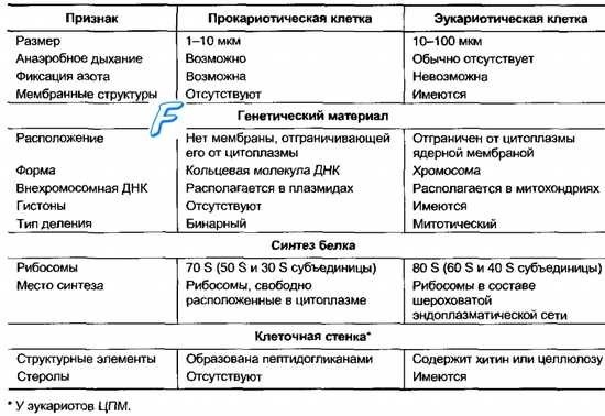 Строение, процессы жизнедеятельности, характерные признаки неклеточных форм жизни