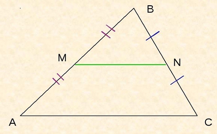 Средняя линия треугольника: свойства, признаки и формулы