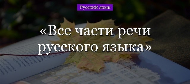 Причастие и деепричастие в русском языке