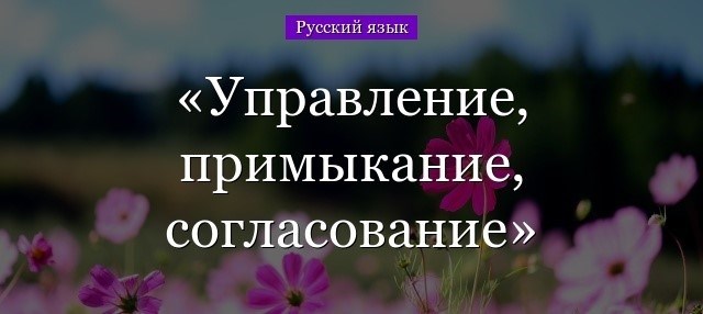 Что такое согласование?