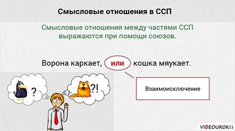 Что мы узнали?